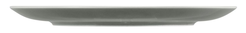 Speiseteller rund 27,5 cm Terra Perlgrau Seltmann Weiden