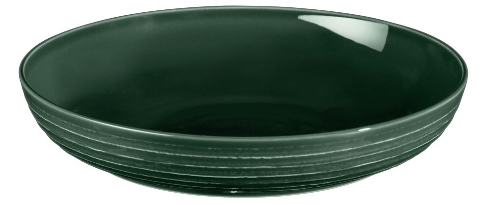 Foodbowl 28 cm Terra Moosgrün Seltmann Weiden