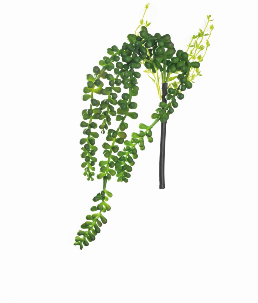 Sukkulente hängend grün Deko ASA Selection