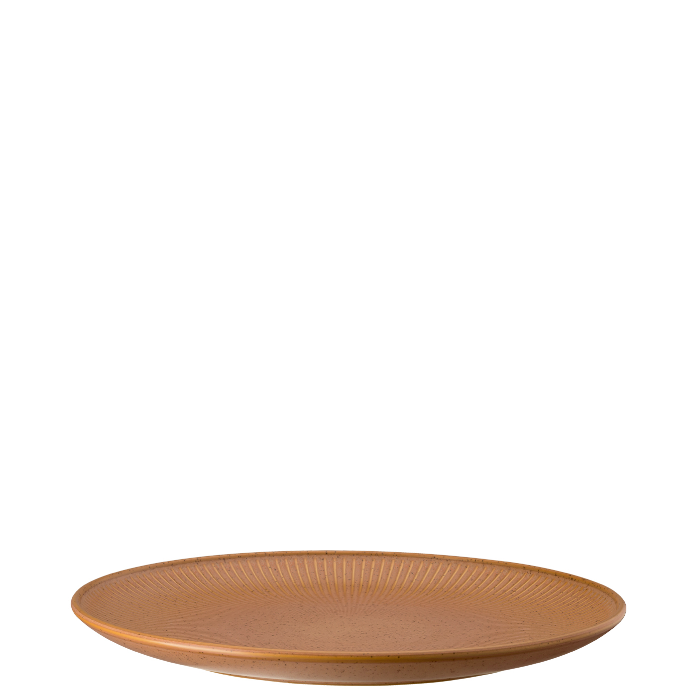 Speiseteller 27 cm Thomas Clay Earth Thomas Porzellan